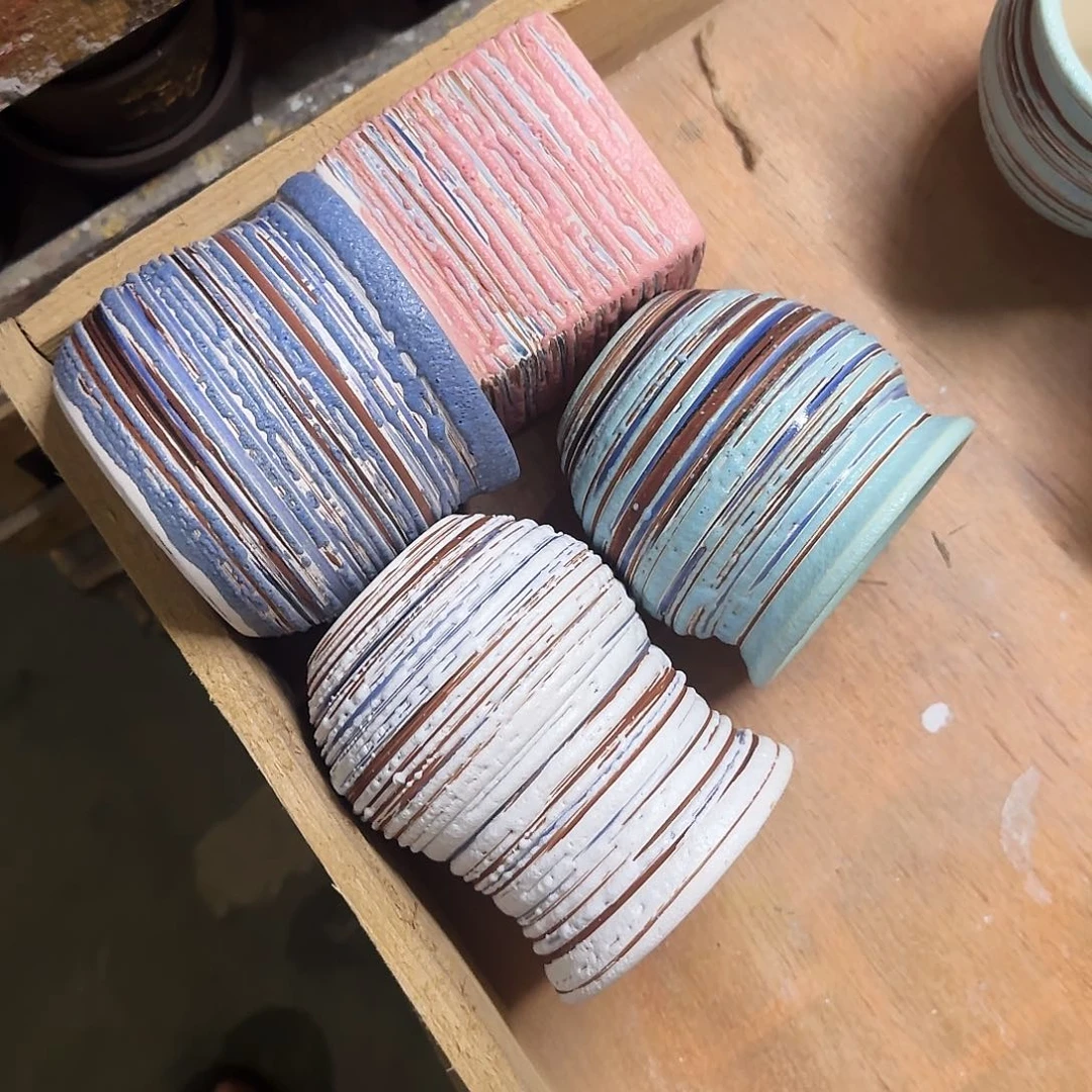 4个福利局绿植多肉盆［凑9元包邮24小时发］