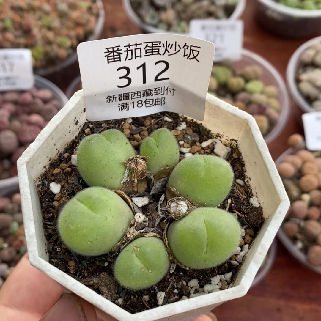 感谢您的支持，00312