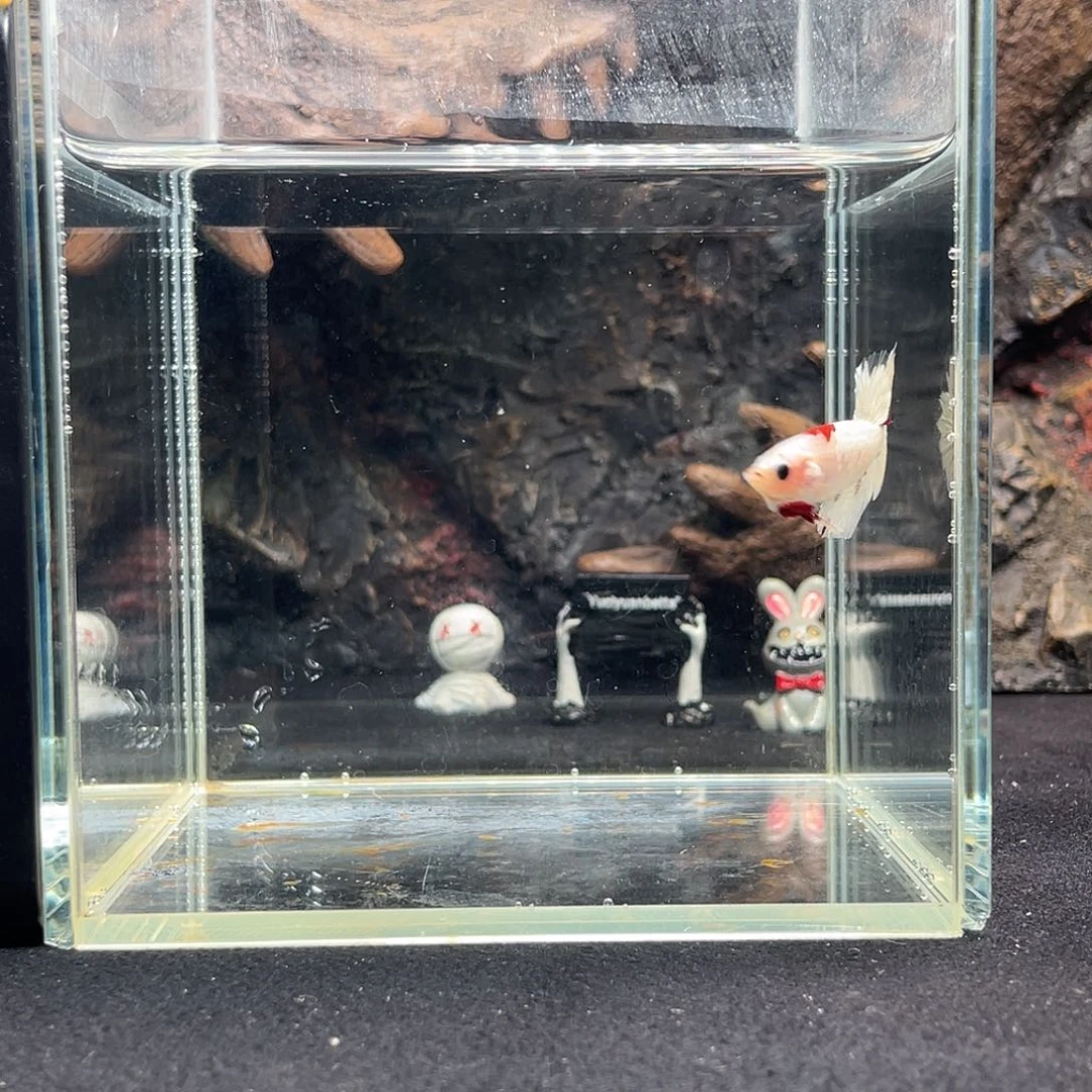 斗鱼十月九日竞价