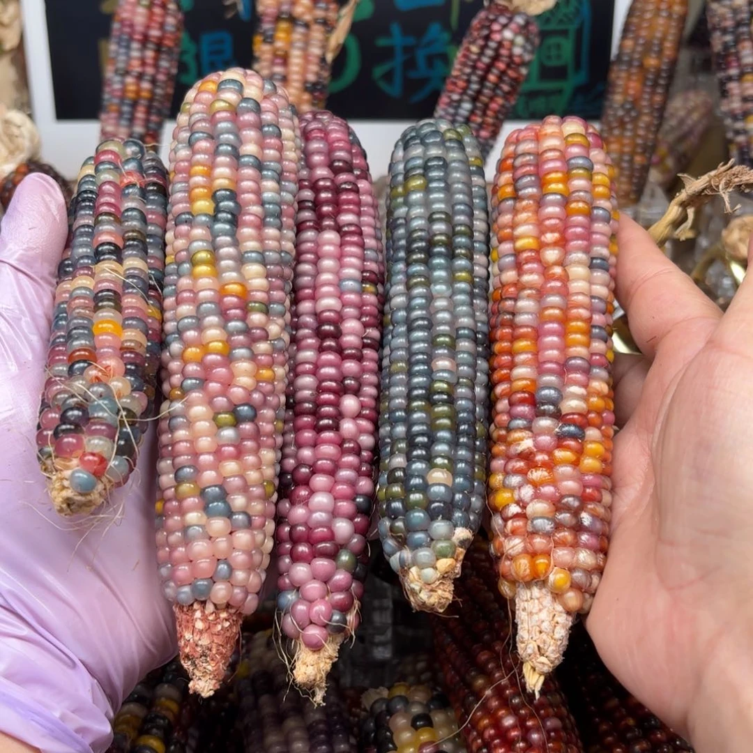 柏香籽/百香籽吊坠小***8