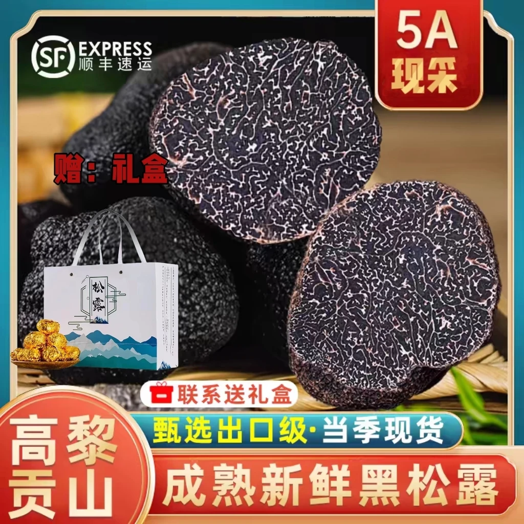 5A黑松露礼盒现采鲜黑松露云南香格里拉新鲜食用菌子蘑菇礼盒送礼