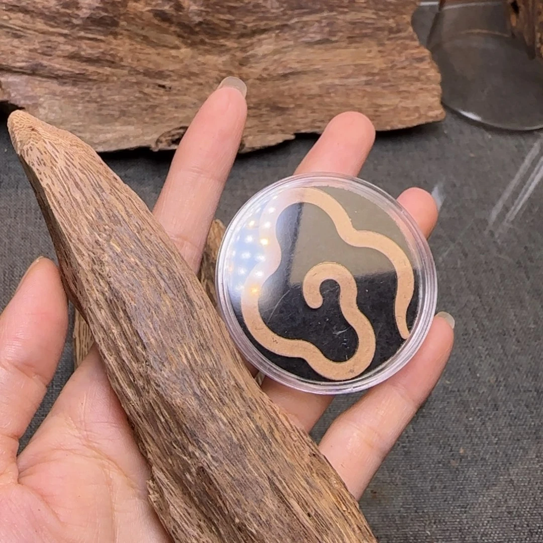 江***涟海南虫漏碎料14.9克