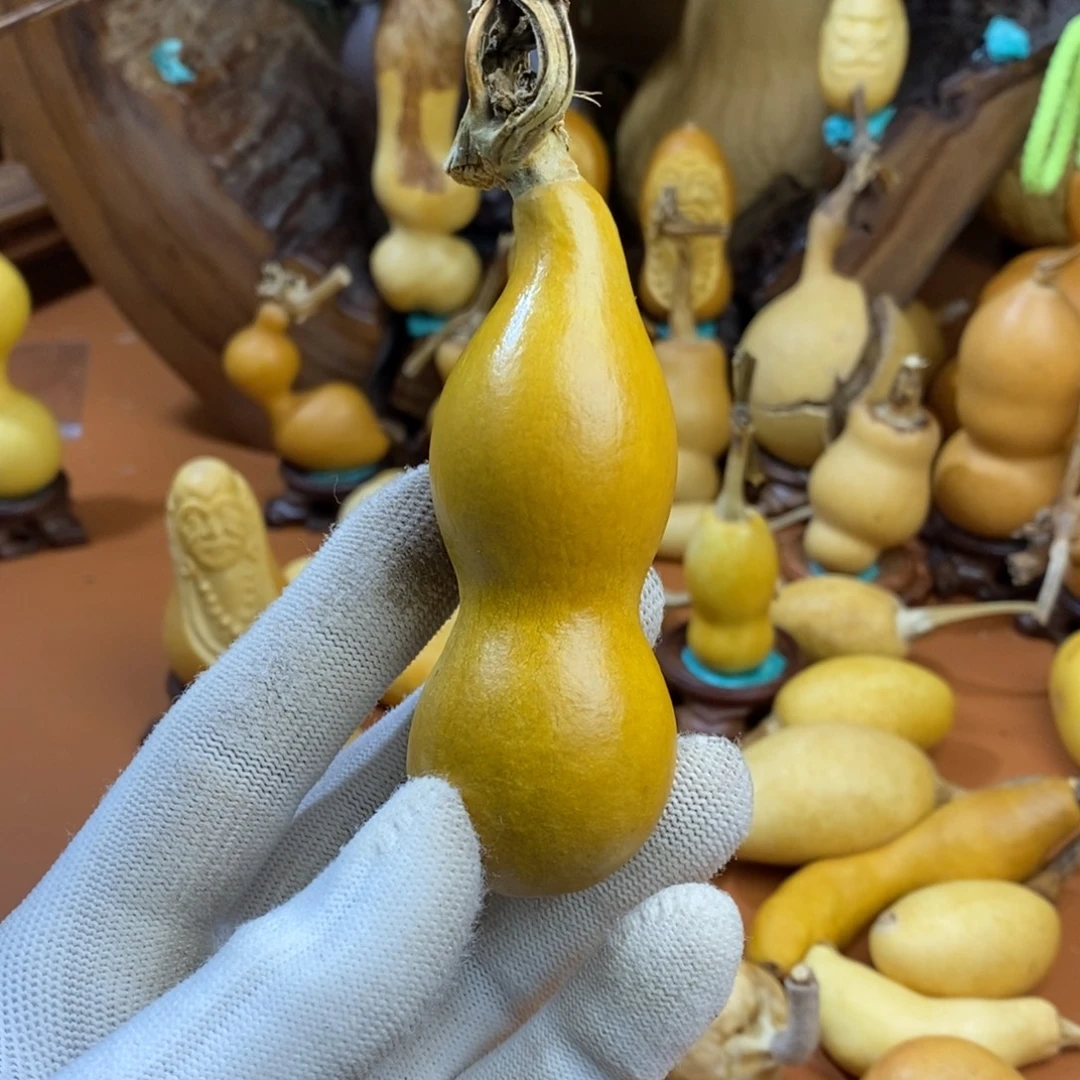 聆***月教练咯教育路途考虑考虑