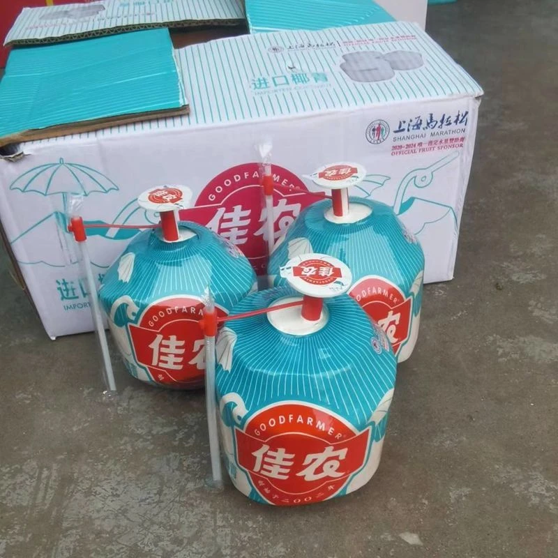佳农椰青两个装纯正椰汁原装进口新鲜
