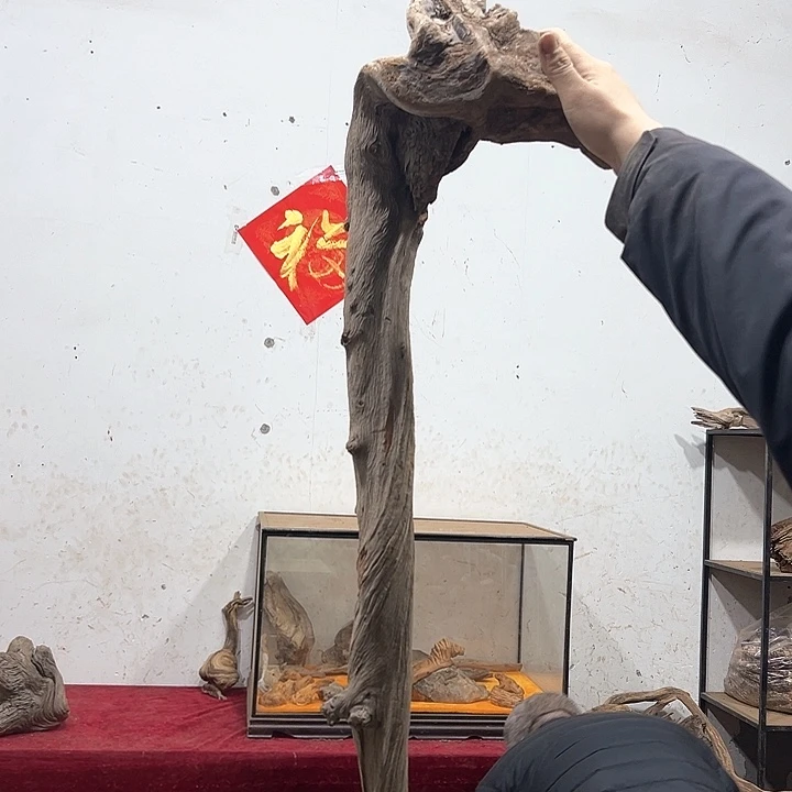 柏木古**香我们都是好孩子呀我也