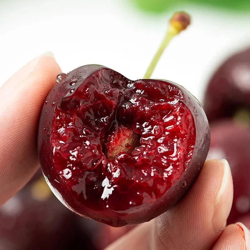 正宗车厘子树苗黑珍珠大樱桃果树美早黄蜜红灯苗南方北方种植果苗