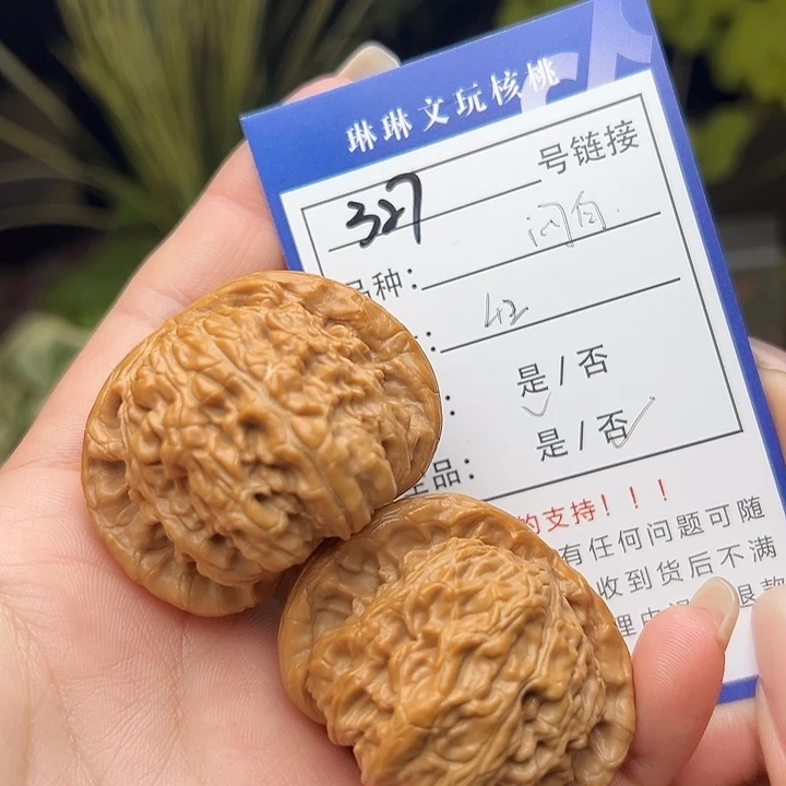 文玩核桃吊坠核桃树327