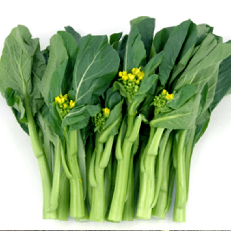 四九菜心 甜菜心