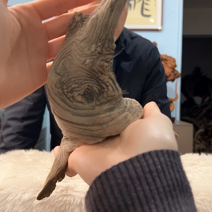 柏木清**.我们的生活也是如此的丰富