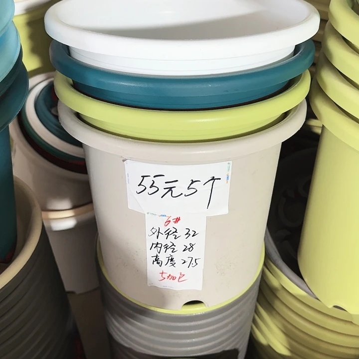 四季6#口径32白色7个无托