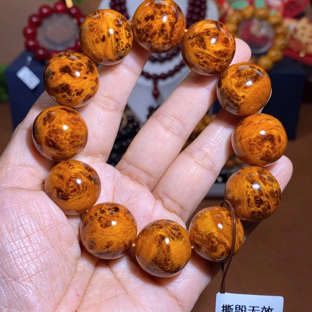 贝壳杉帝王血龙木2.0留疤