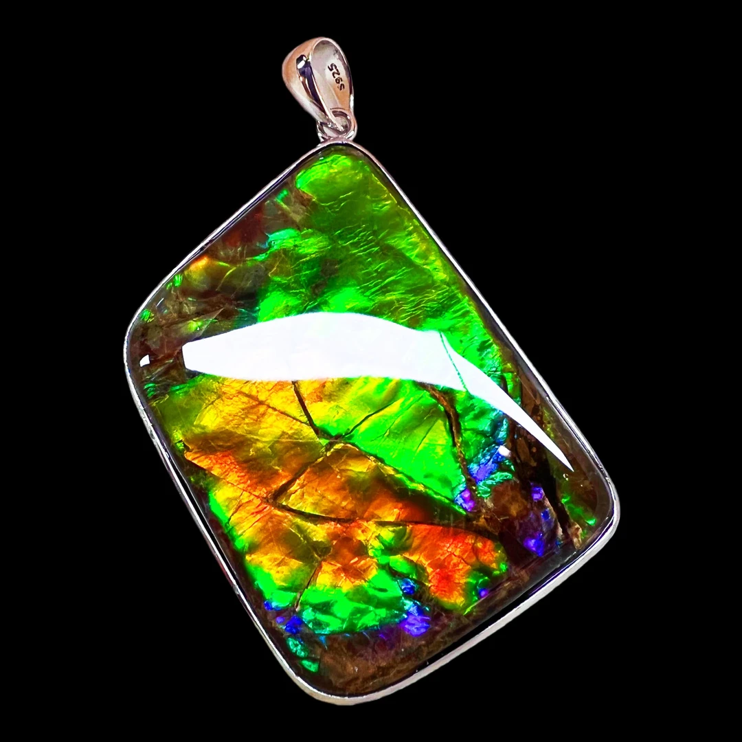 【斑彩】47.7mm 加拿大 N-29  DZ-H  贝壳创意饰品 H50