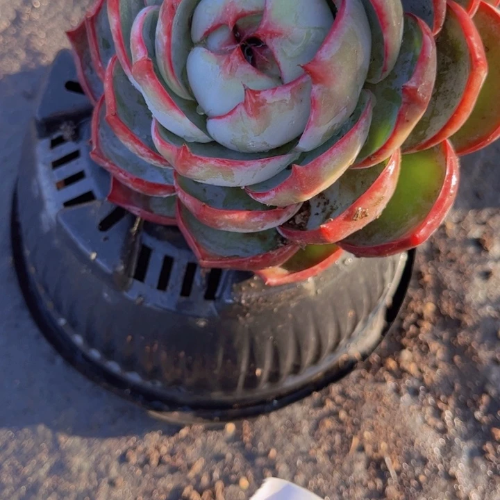 8///////////////////