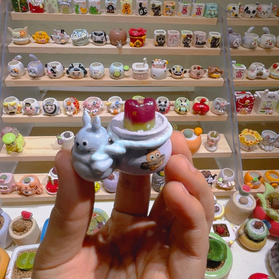 022高端多肉带盆土一套31