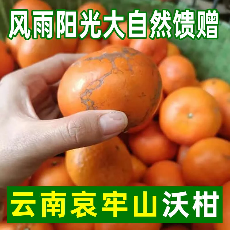 【云南沃柑】多汁柑橘纯甜无酸皮薄汁水多【花皮果更甜】产地直发