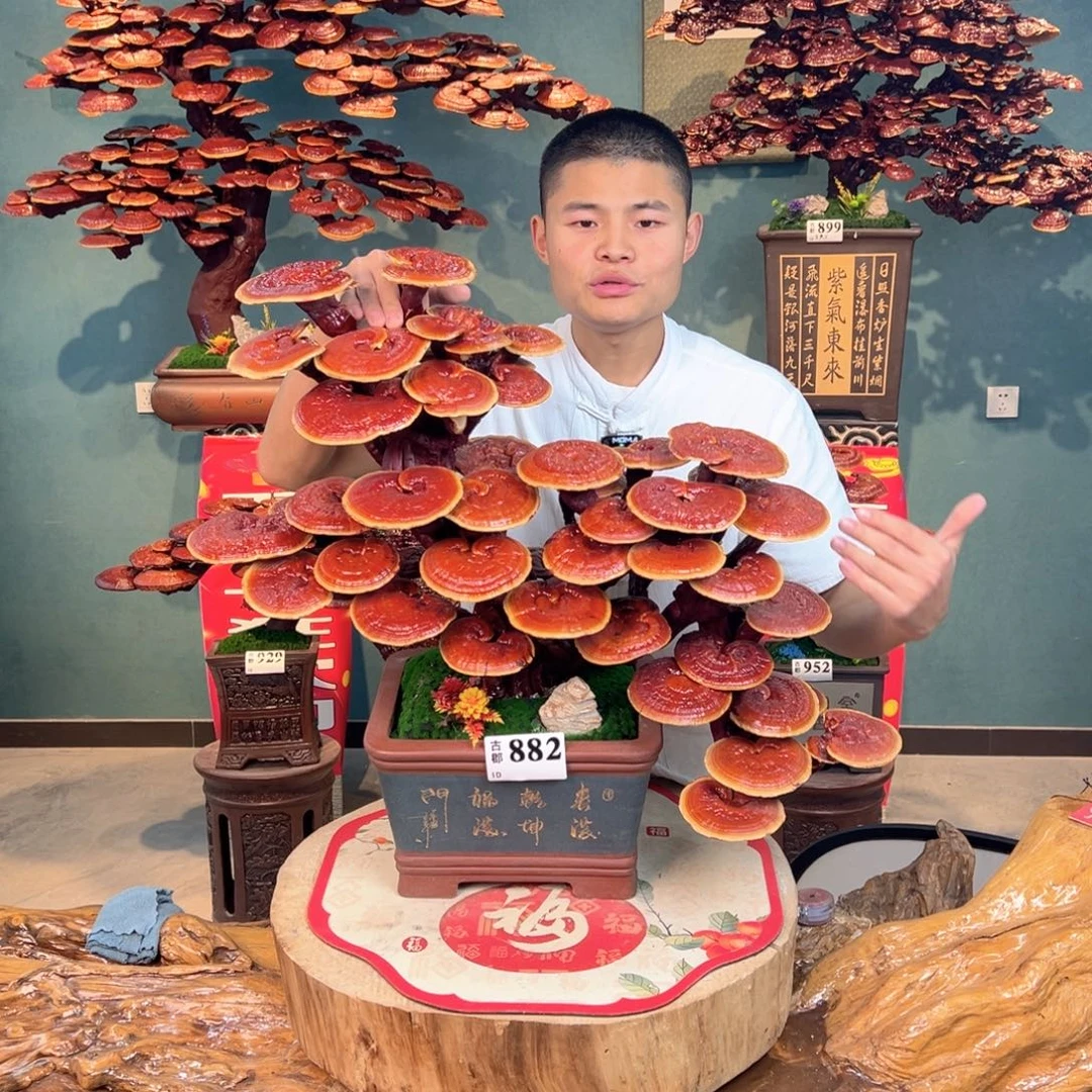 无花朵9988888887888