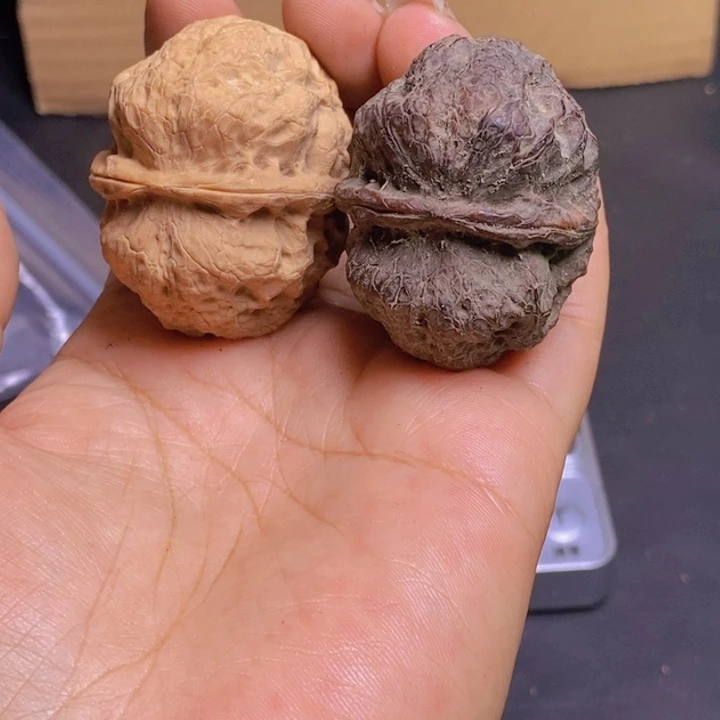 把件文玩核桃   Y23