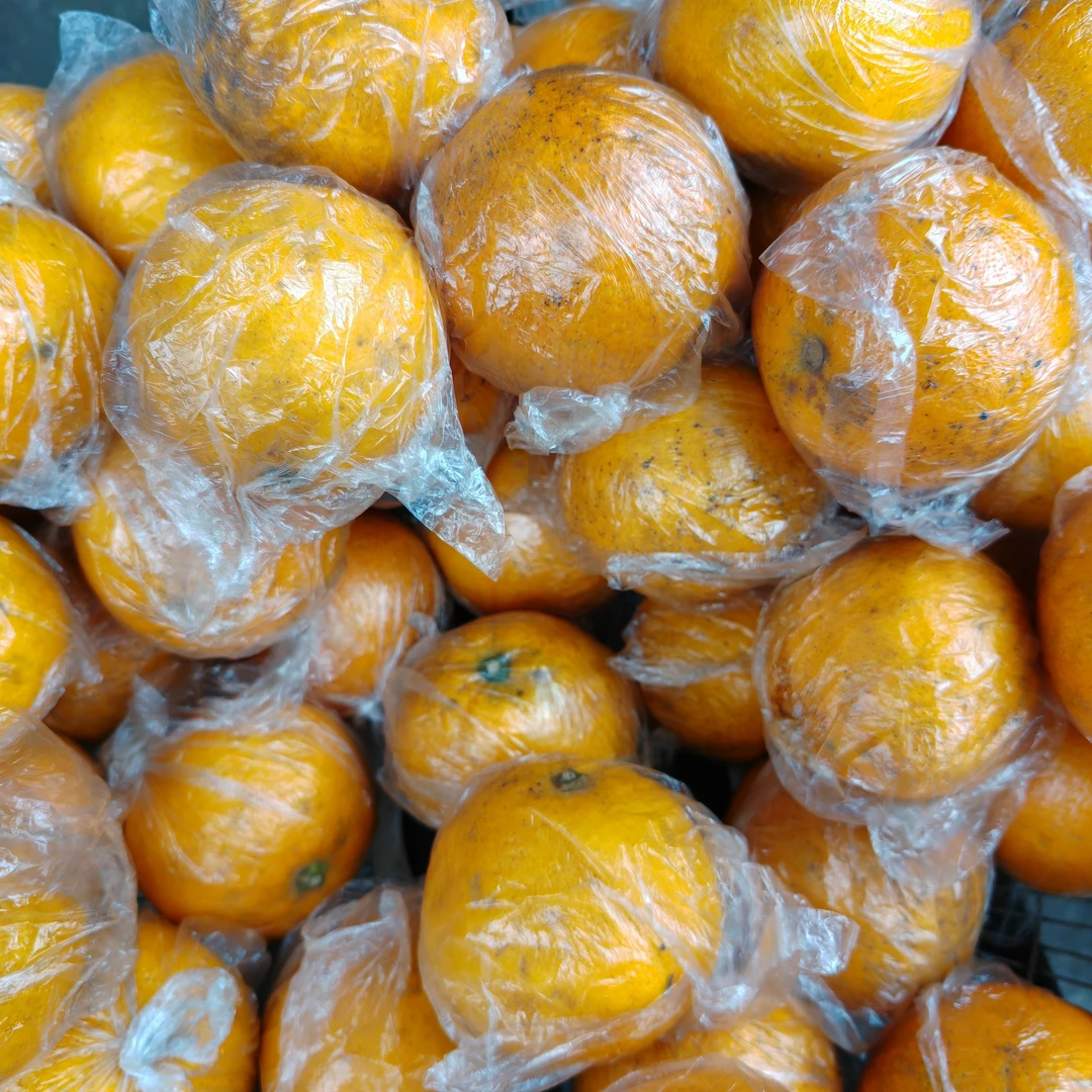 【竹邮助农】大竹县杨家镇爷爷家脐橙10斤