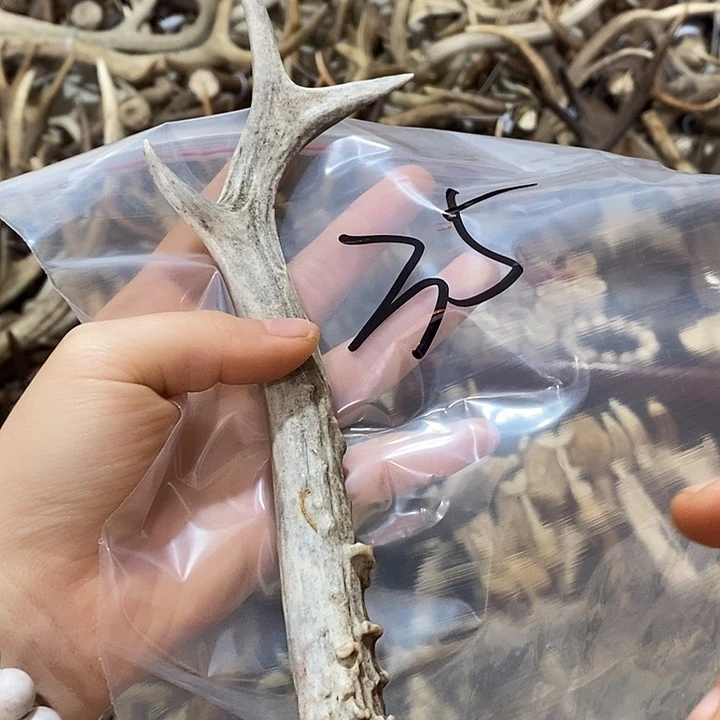 猪***嗨鹿角鹿角鹿角鹿角鹿角