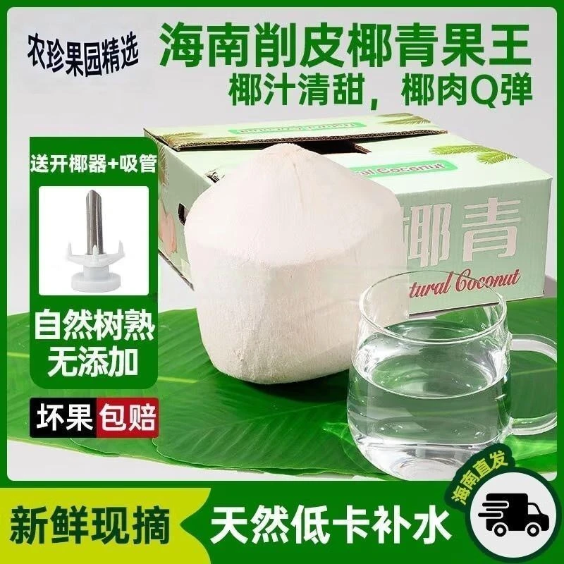海南椰青文昌东郊椰子新鲜现摘孕妇水果老少皆宜夏季解渴天然饮料