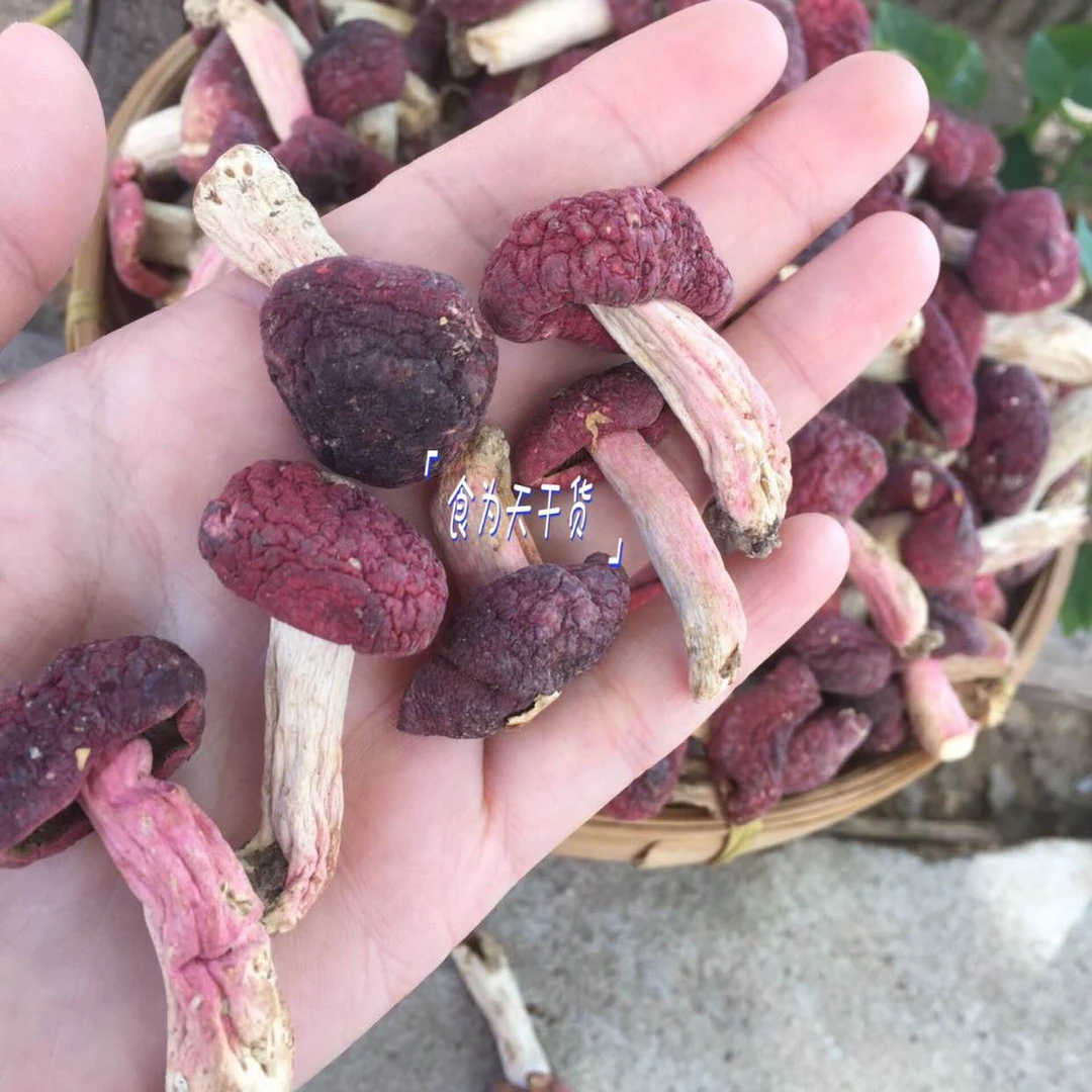 新货小红菇河南野生开伞红菇干货红蘑菇菌菇红菌补血滋补月子菇
