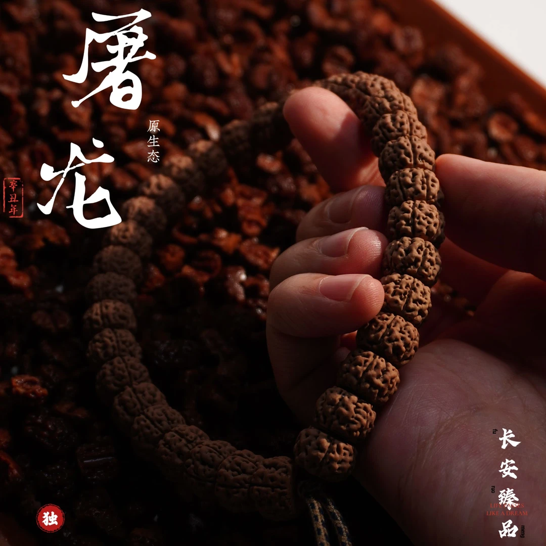 【长安臻品·屠龙】藏式毕业级小金刚手串