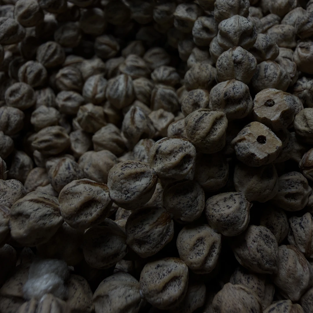 定制级百香籽热振《魔尊》款式特色鲜明