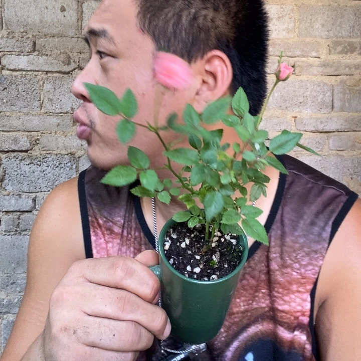 孙***堂完全开放退款拉黑一物一拍144