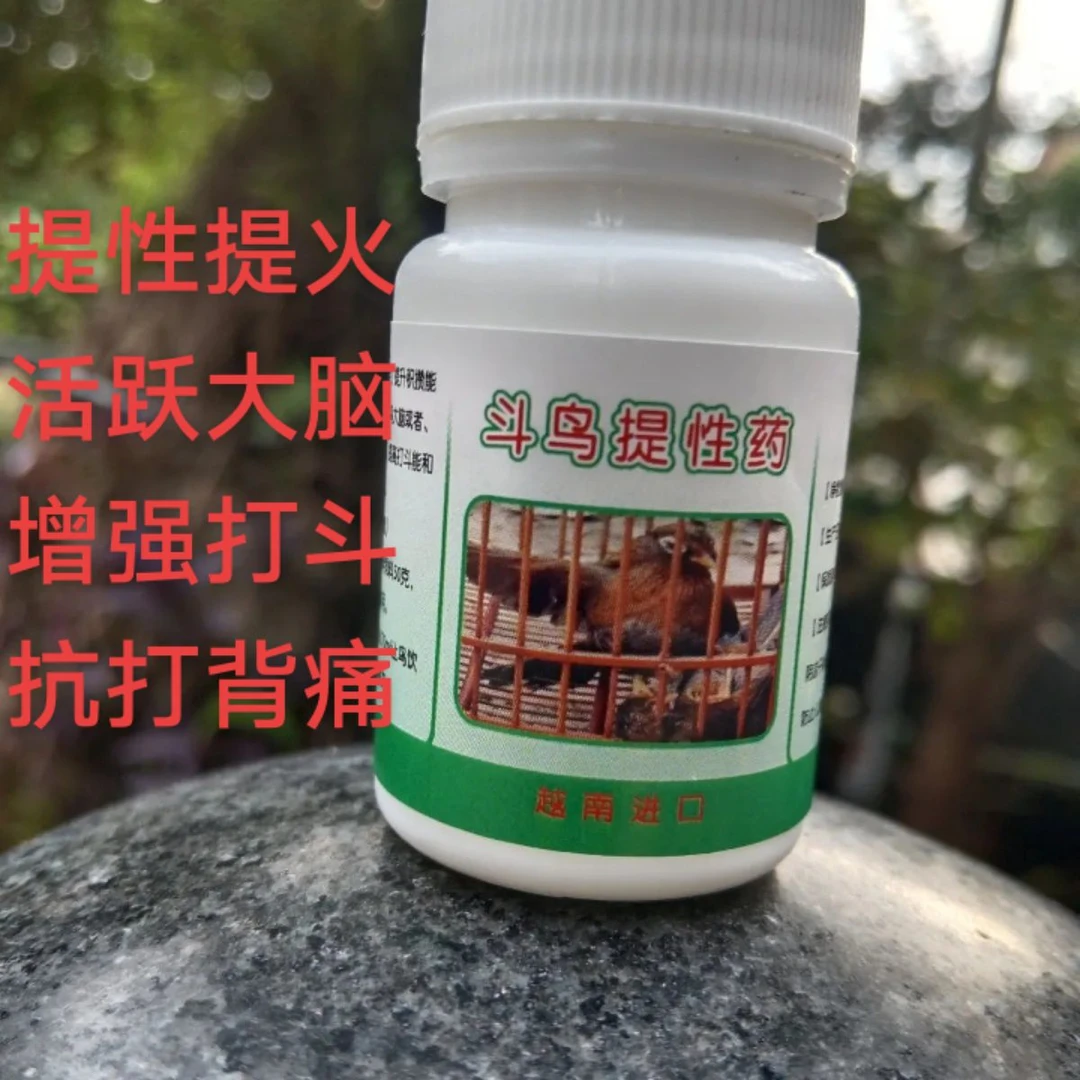 画眉鸟提性斗鸟专用