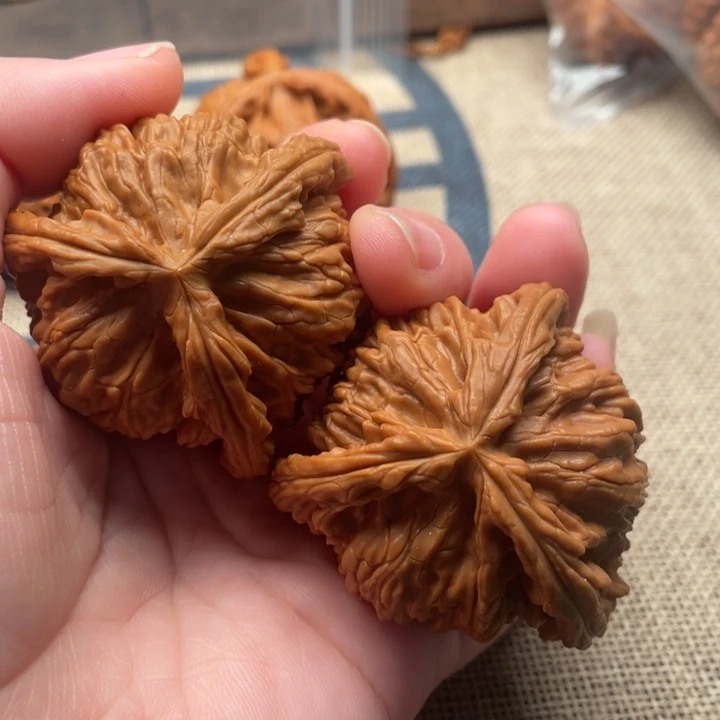 安***受核桃白狮子47核桃