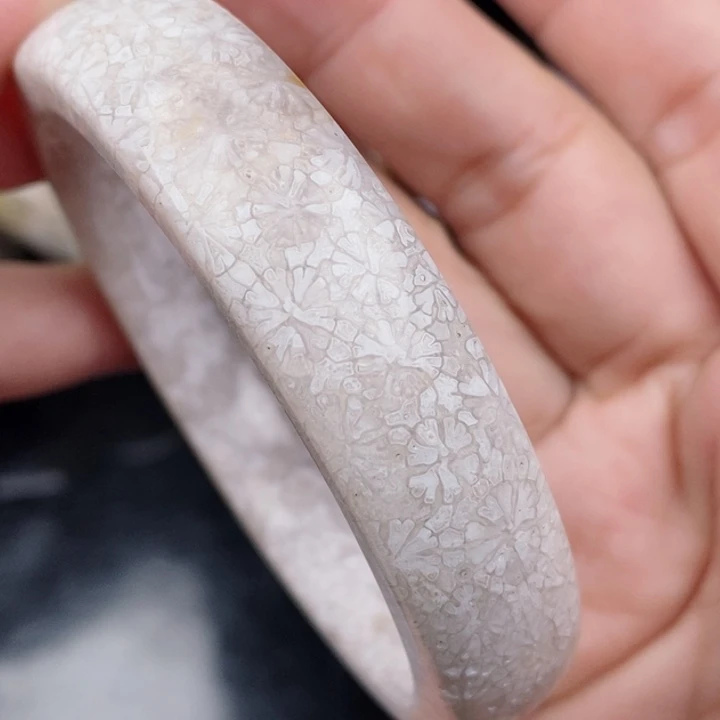 未镶嵌手镯硅化玉56.5