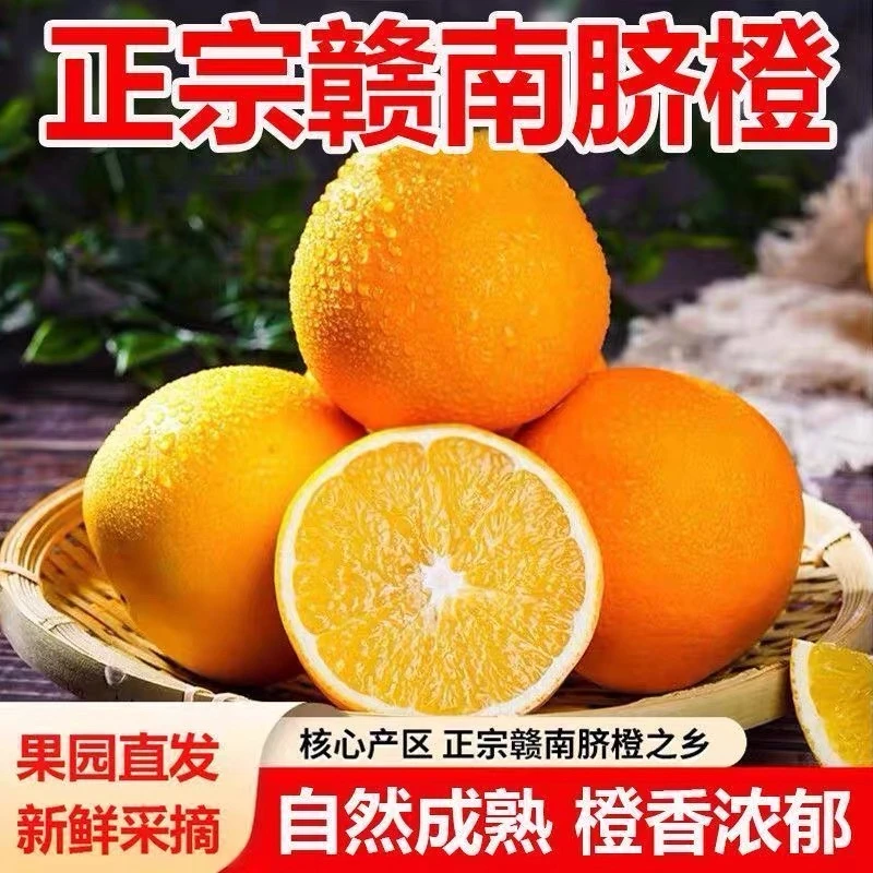 【赣南产地直发】正宗农家现摘赣南脐橙自然生态果 新鲜应季水果