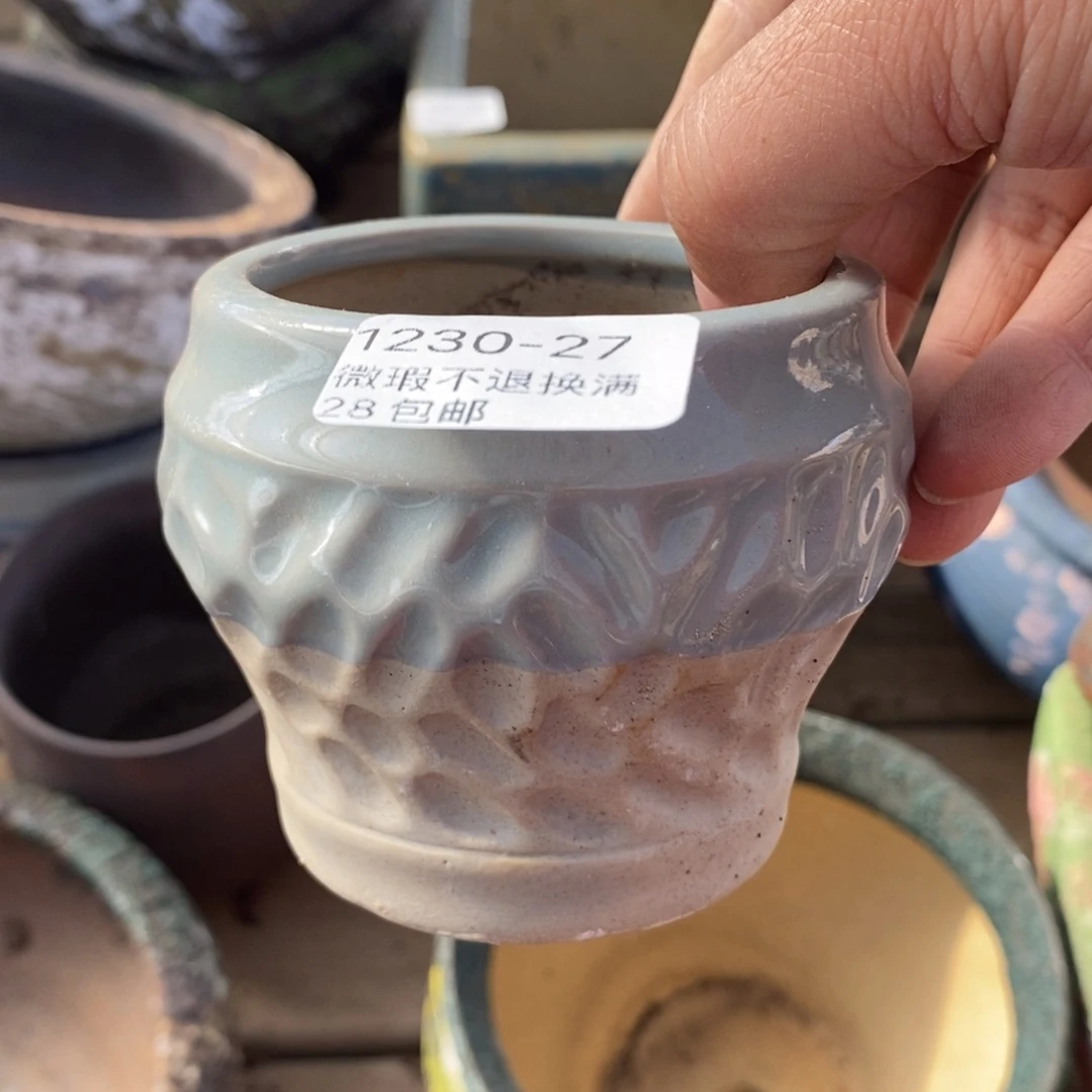 27号多肉盆口径6小可爱