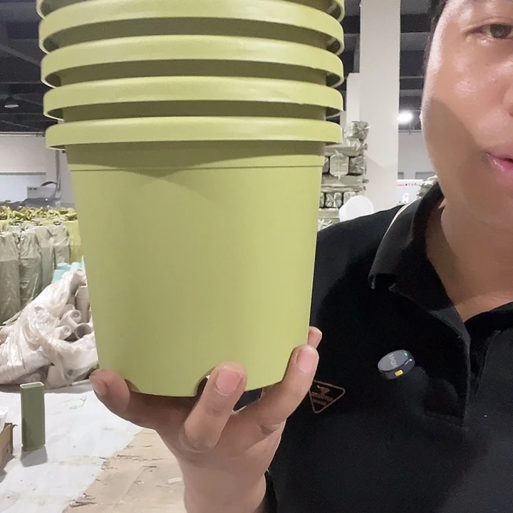 圆2号绿5个无托盘