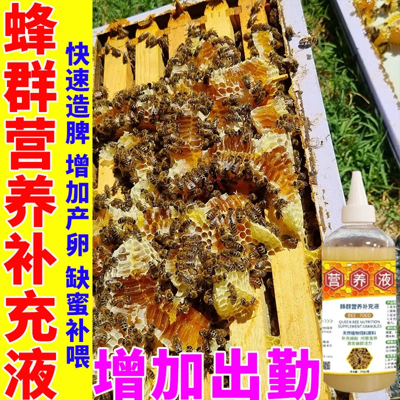 蜜蜂营养液诱蜂快速繁蜂可兑水大瓶的造脾液增强免疫力养殖专用液