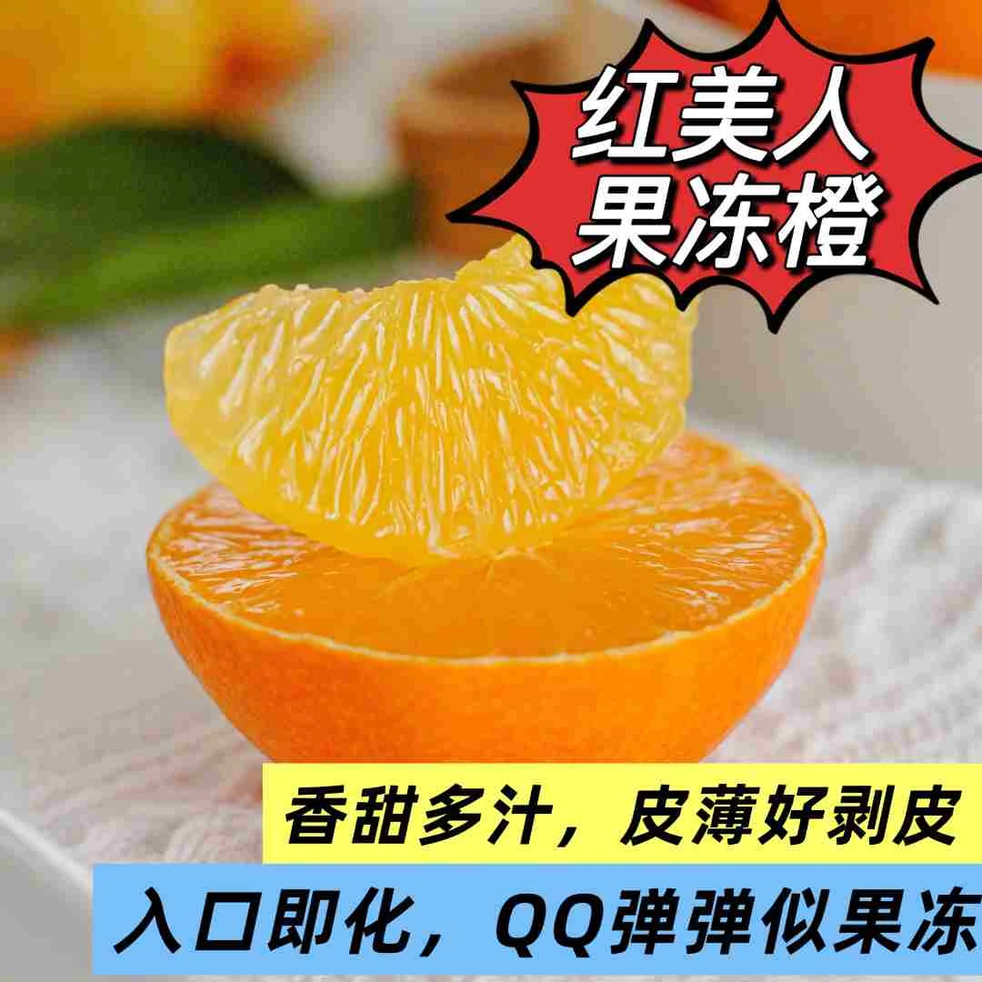 【精品果！福建红美人果冻橙】很好吃的柑橘！皮薄爆汁香甜可口