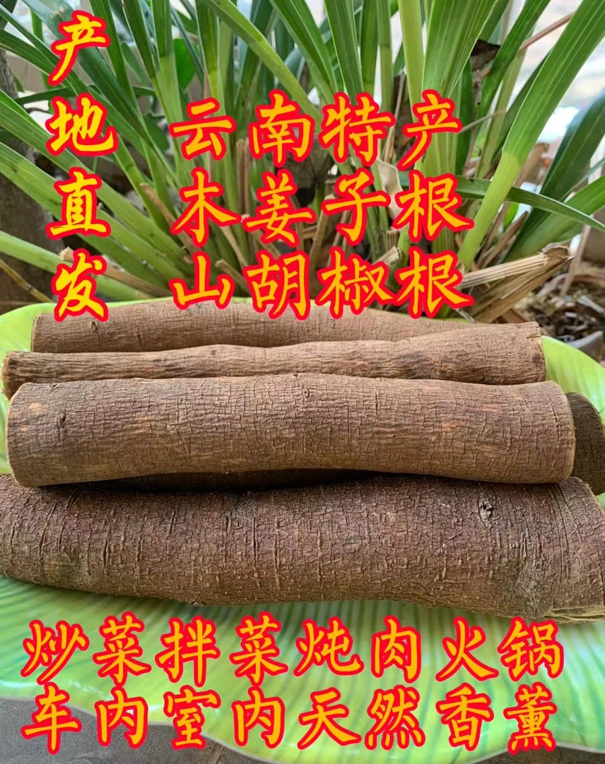 云南木姜子根山胡椒根凉拌菜炒菜炖肉辛香浓郁调料车载香薰熏香