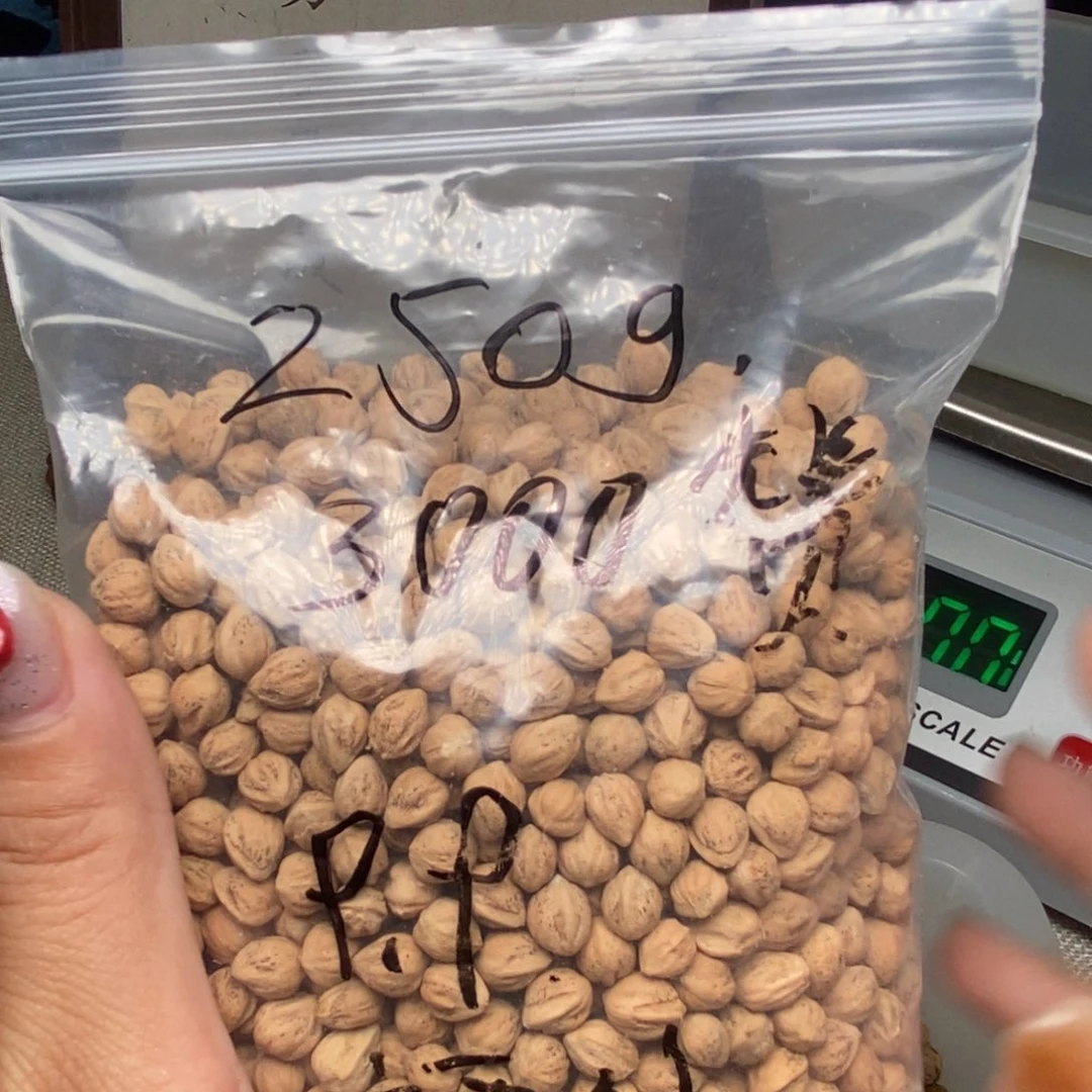 吊坠柏香籽/百香籽