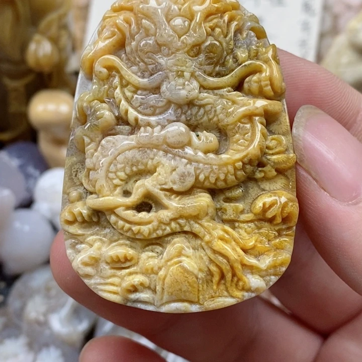颈饰未镶嵌硅化珊瑚（珊瑚玉）