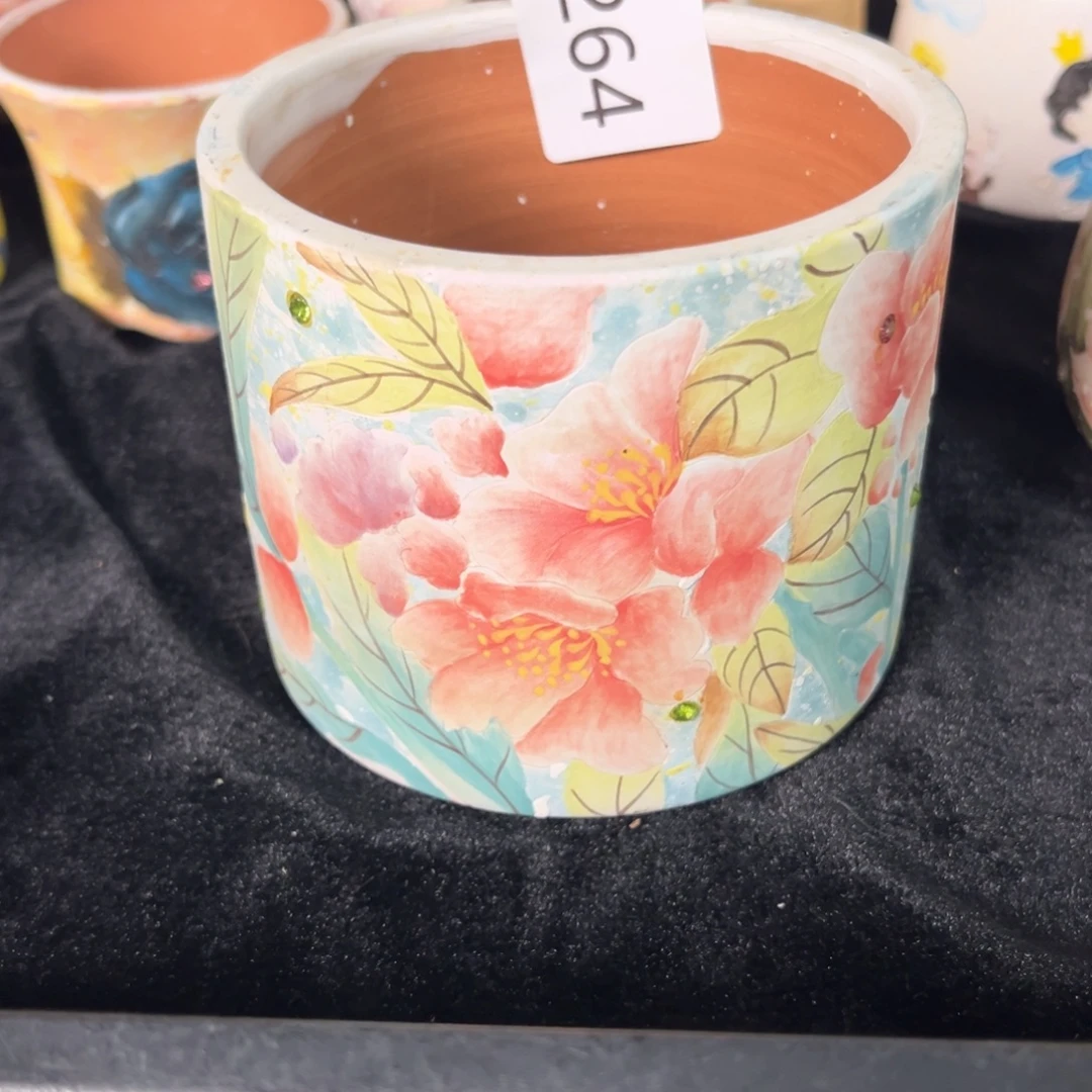 L***y264多肉花盆35元1个