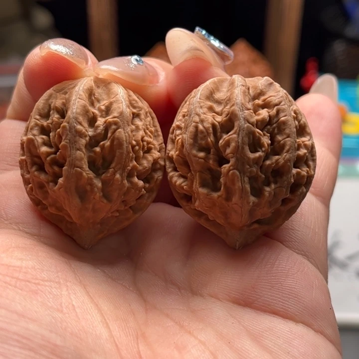 文玩核桃把件关东木子家楸大胖3