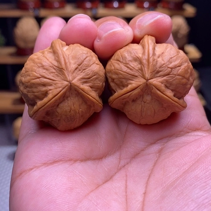 木质类云铁甲壳虫三棱46号