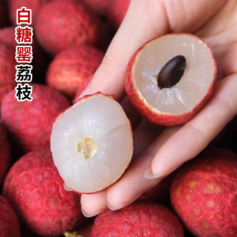 2025新鲜白糖罂荔枝 纯甜无酸老树品质现摘发6斤整箱包邮时令水果