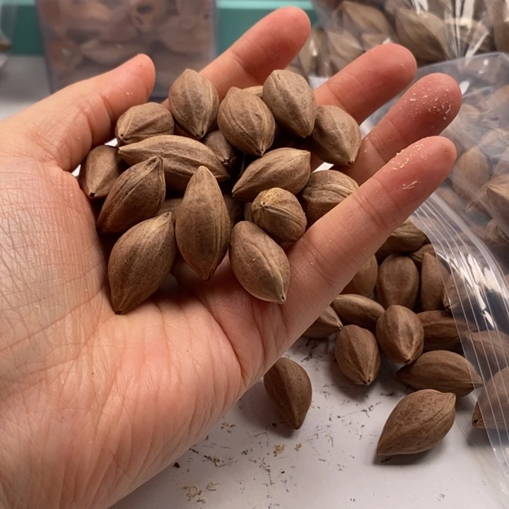 邢***部橄榄核手串/手链橄榄核雕