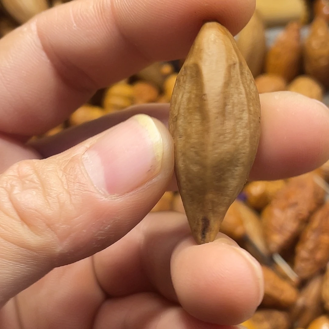 橄榄核手串/手链瑕疵美女820