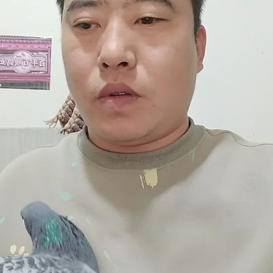 7中国大陆鸽子鸽子鸽子鸽子肉等等