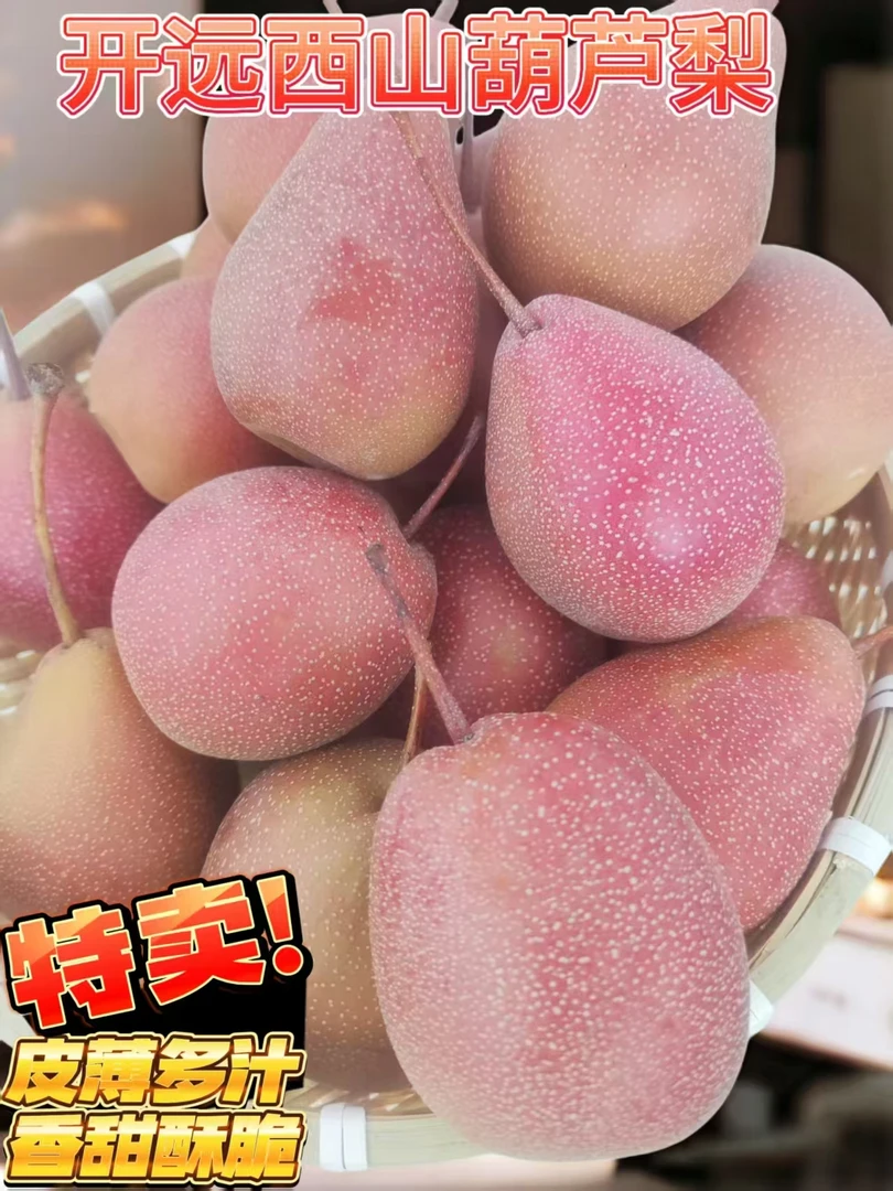 【今日直降】正宗云南开远西山葫芦梨应季新鲜水果皮薄多汁