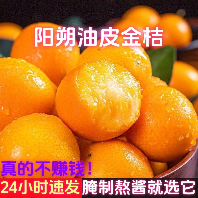 广西油皮金桔酸甜精选小金桔鲜果3斤5斤新鲜金桔现摘