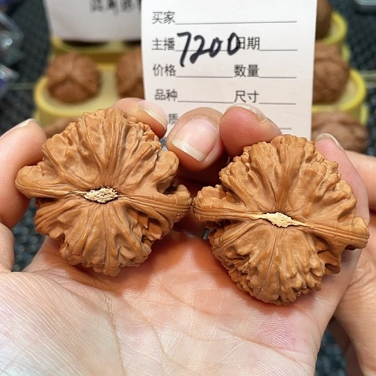 把件文玩核桃44白狮子7200