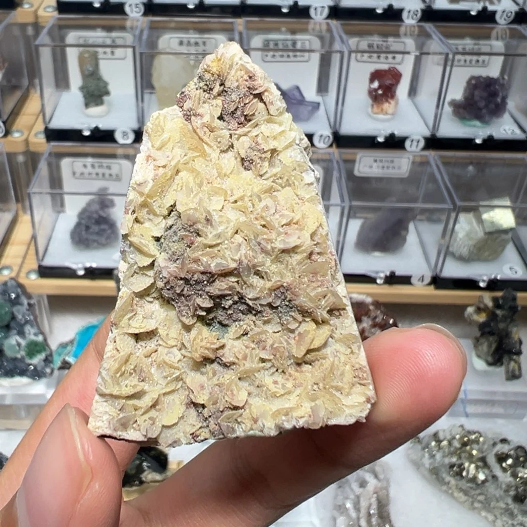 大型摆件（非配饰）紫晶银S925镶嵌